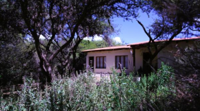Mestiza Posada